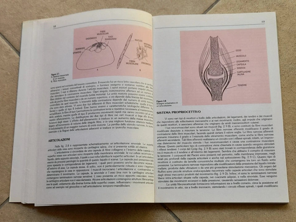 LESIONI DEI TESSUTI MOLLI IN MEDICINA DELLO SPORT. SYLVIA LACHMANN. MOMENTO MEDICO EDIZIONI. EDIZIONE ITALIANA 1989.
