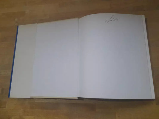 MICHELANGELO. MARIA LUISA RIZZATTI. MONDADORI EDITORE. COLLANA: I GENI DELLA PITTURA. RISTAMPA 1980.