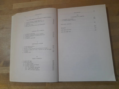 IL DIVENIRE DELL'ORDINE. L'INTERAZIONE NORMATIVA NELLA SOCIETA' OMERICA. MARIA PAOLA MITTICA. 1° EDIZIONE 1996. DOTT. A. GIUFFRE' EDITORE.