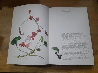 LE PIANTE DELLA SALUTE. ATLANTE DELLE PIANTE MEDICINALI. AA.VV. MONDADORI 1980.