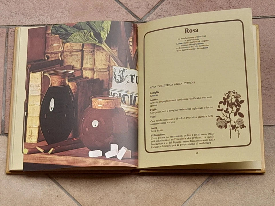 FRUTTA SOTTOVETRO. ANGELO SORZIO. F.LLI FABBRI EDITORI. COLLANA: CONSERVATUTTO. 4° RISTAMPA 1976.