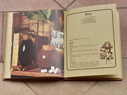 FRUTTA SOTTOVETRO. ANGELO SORZIO. F.LLI FABBRI EDITORI. COLLANA: CONSERVATUTTO. 4° RISTAMPA 1976.