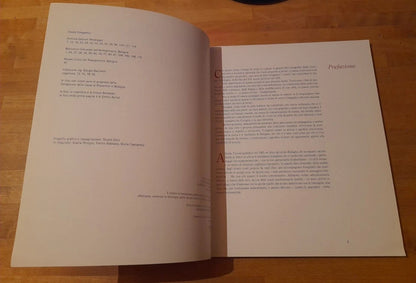 BOLOGNA TRA OTTO E NOVECENTO. TESTI DI ALFREDO TESTONI. COLLANA: I GRANDI LIBRI FOTOGRAFICI DELLA CITTA' 1. PENDRAGON EDITORE, 2006.