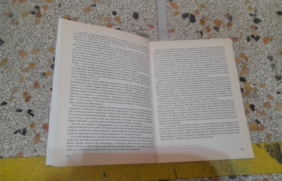 LA ZONA ITALIANA. GIGLIOLA BRAGA. NUOVA EDIZIONE AMPLIATA E AGGIORNATA. SPERLING & KUPFER EDITORI. RISTAMPA 2007.