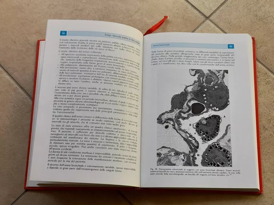 MANUALE PRATICO DI ALLERGOLOGIA. EMANUELE ERRIGO. LOMBARDO EDITORE. 1° EDIZIONE 1990.  CON 70 FIGURE, DI CUI 65 A COLORI.