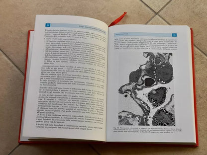 MANUALE PRATICO DI ALLERGOLOGIA. EMANUELE ERRIGO. LOMBARDO EDITORE. 1° EDIZIONE 1990.  CON 70 FIGURE, DI CUI 65 A COLORI.