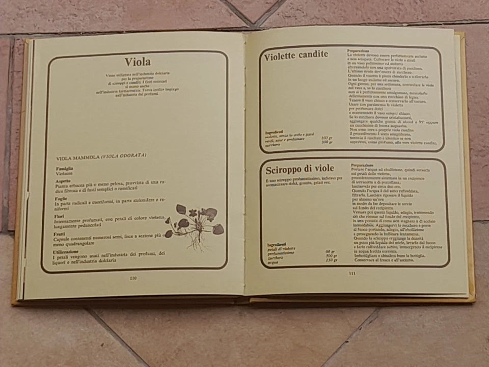 FRUTTA SOTTOVETRO. ANGELO SORZIO. F.LLI FABBRI EDITORI. COLLANA: CONSERVATUTTO. 4° RISTAMPA 1976.