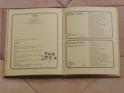 FRUTTA SOTTOVETRO. ANGELO SORZIO. F.LLI FABBRI EDITORI. COLLANA: CONSERVATUTTO. 4° RISTAMPA 1976.