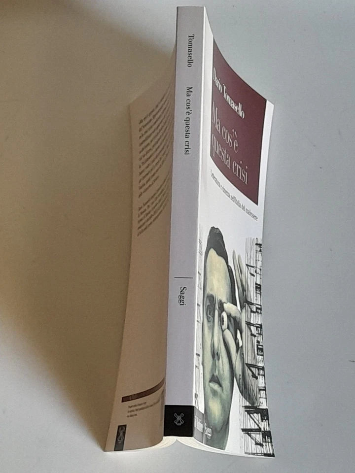 MA COS'E' QUESTA CRISI. LETTERATURA E CINEMA NELL'ITALIA DEL MALESSERE. DARIO TOMASELLO. SOCIETA' EDITRICE IL MULINO. COLLANA: IL MULINO SAGGI 793. 1° EDIZIONE 2013.